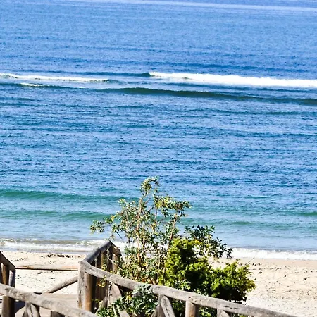 Playa Candor 로타