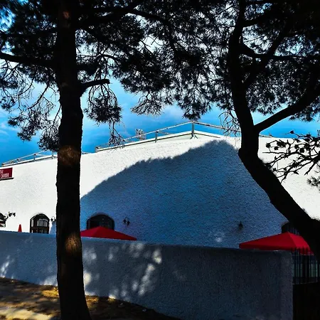 Playa Candor ゲストハウス ロタ